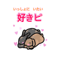 [LINEスタンプ] うさぎの日常 2  若者言葉