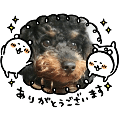 [LINEスタンプ] サップードル