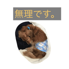 [LINEスタンプ] マックスオリジナルスタンプです！