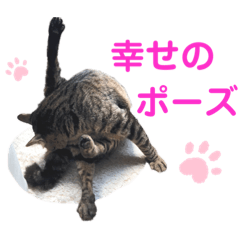 [LINEスタンプ] つきみとこじろう。