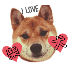 [LINEスタンプ] ライト動物病院の皆様のスタンプ