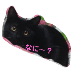 [LINEスタンプ] ナミエchan