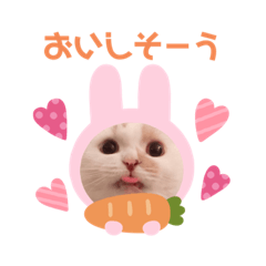 [LINEスタンプ] Lunalovegood