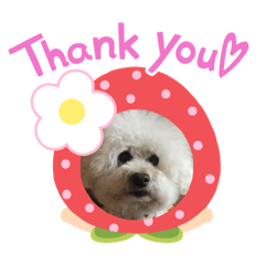 [LINEスタンプ] ガウガウ犬のレオン君②