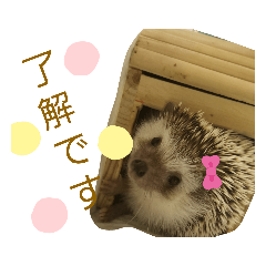 [LINEスタンプ] ハリネズミのたろ