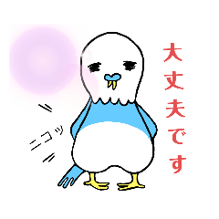 [LINEスタンプ] セキセイインコのセッキン