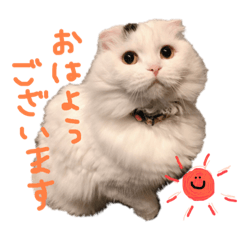 [LINEスタンプ] 悠珠ちゃんスタンプ