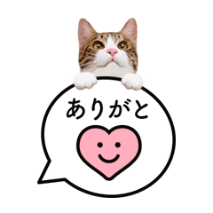 [LINEスタンプ] 猫のほのさんです。