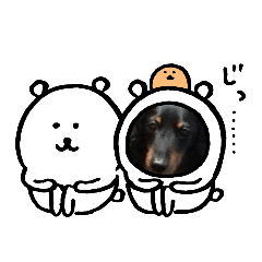 [LINEスタンプ] 可愛いミニチュアダックス君③