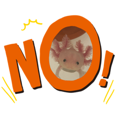 [LINEスタンプ] うちのウーパールーパー