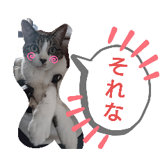 [LINEスタンプ] バニラとガゼル