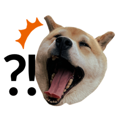 [LINEスタンプ] ぽちゃ犬さくら