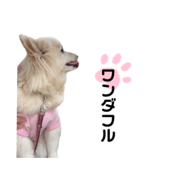 [LINEスタンプ] ミミコロ1