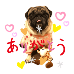 [LINEスタンプ] あいらぶゆーらぶ3