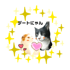 [LINEスタンプ] ワールドキャッツスタンプ part2