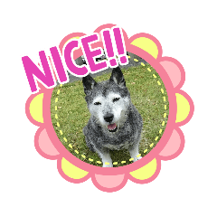 [LINEスタンプ] ハナ姉さんとすばちゃん その2