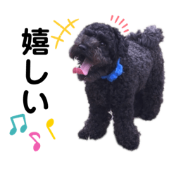 [LINEスタンプ] レミーくん
