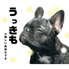 [LINEスタンプ] ぼくにくたん！