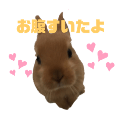 [LINEスタンプ] かわよいウサスター