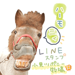 [LINEスタンプ] ハーモニィセンター①