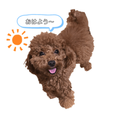 [LINEスタンプ] あーる＆じじの日常