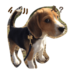 [LINEスタンプ] オレは茶々丸2