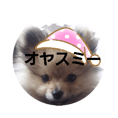 [LINEスタンプ] 挨拶 ペット