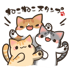 [LINEスタンプ] ねこねこ♡スタンプ