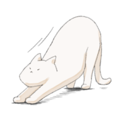 [LINEスタンプ] 白猫がしゃべるスタンプの画像（メイン）