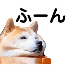 [LINEスタンプ] そらくんとももちゃん