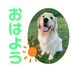 [LINEスタンプ] 大福とさぶ