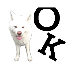 [LINEスタンプ] 秋田犬、与四郎