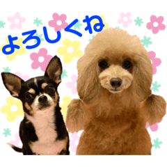 [LINEスタンプ] マティラとノアールの毎日