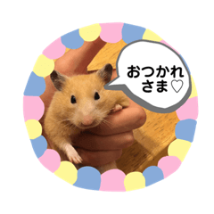 [LINEスタンプ] ダッフィーハム