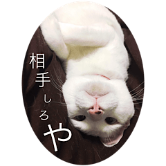 [LINEスタンプ] グレさんとベル坊のスタンプ