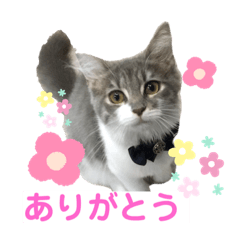 [LINEスタンプ] One Tree Cats