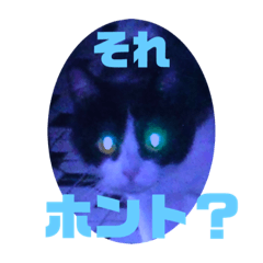 [LINEスタンプ] ハロ猫＋もんにゃん