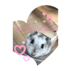 [LINEスタンプ] ねずこの日常。