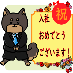 [LINEスタンプ] お祝い黒柴スタンプ