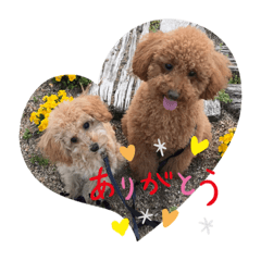 [LINEスタンプ] ココアとミルクと時々プッチ