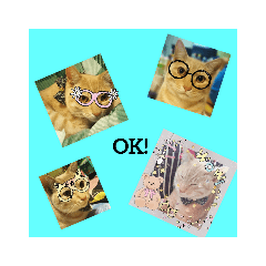 [LINEスタンプ] わらびくんスタンプ
