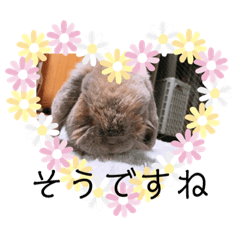 [LINEスタンプ] 山本ホタルのスタンプ2