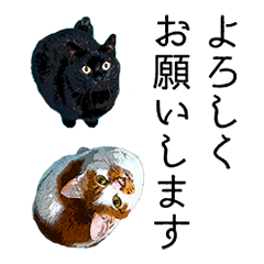 [LINEスタンプ] カワイイが仕事 子福と桃次郎