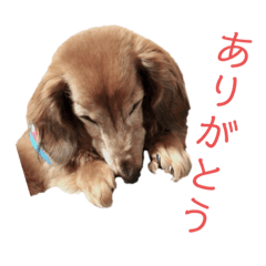 [LINEスタンプ] ファンファンLife2