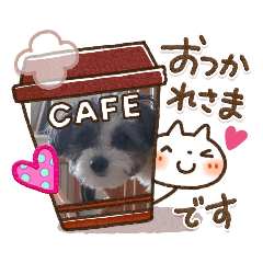 [LINEスタンプ] マルプーのあずきちゃん