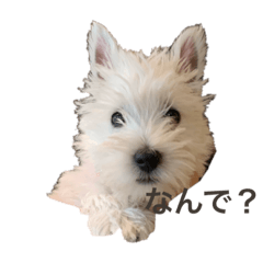 [LINEスタンプ] 髙橋らら 2