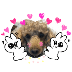 [LINEスタンプ] オーランド♪