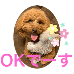 [LINEスタンプ] トイプララ
