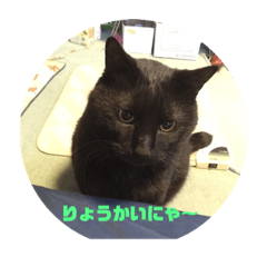 [LINEスタンプ] クロネコノジジチャン