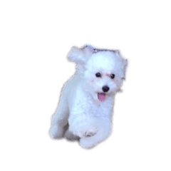 [LINEスタンプ] はじめまして杏仁